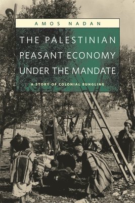 Amos Nadan - Palestinian Peasant Economy under the Mandate, Häftad