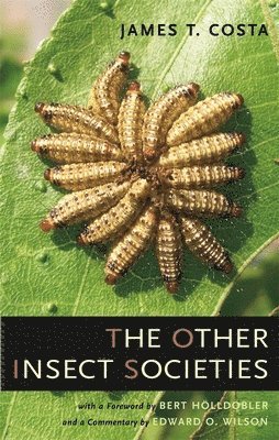 bokomslag Other Insect Societies