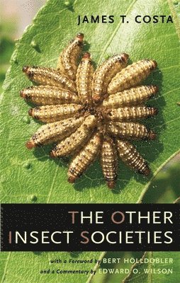 The Other Insect Societies 1