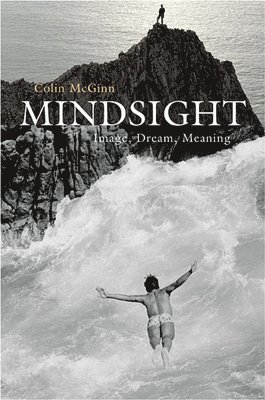 bokomslag Mindsight