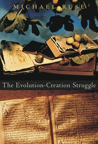 bokomslag The Evolution-Creation Struggle