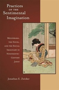 bokomslag Practices of the Sentimental Imagination