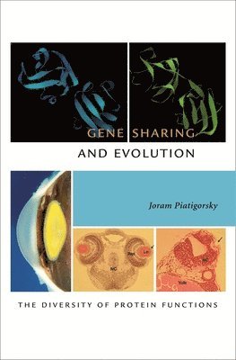 Joram Piatigorsky - Gene Sharing and Evolution, Inbunden