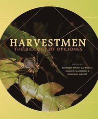 bokomslag Harvestmen