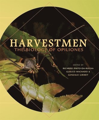 Harvestmen 1