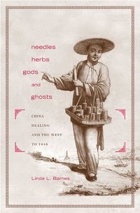bokomslag Needles, Herbs, Gods, and Ghosts