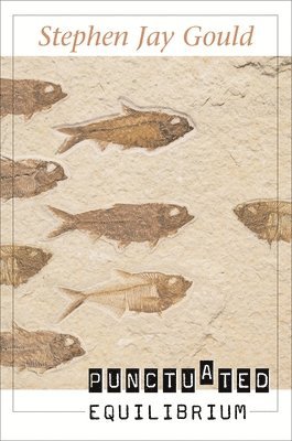 Stephen Jay Gould - Punctuated Equilibrium, Häftad
