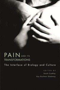 bokomslag Pain and Its Transformations