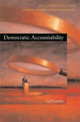 bokomslag Democratic Accountability