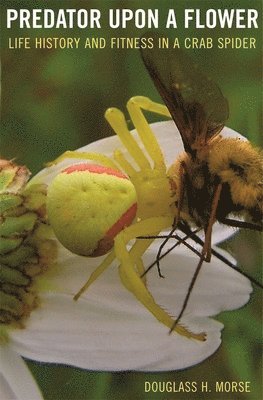 bokomslag Predator upon a Flower