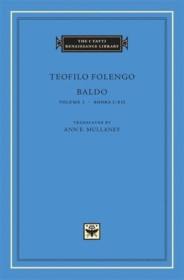 bokomslag Baldo