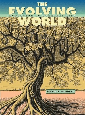 David P. Mindell, David P Mindell - Evolving World, Häftad