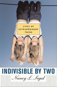 bokomslag Indivisible by Two