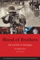 bokomslag Blood of Brothers