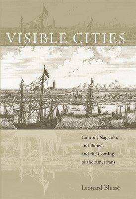 Visible Cities 1
