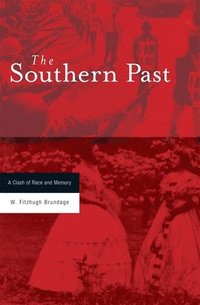 bokomslag The Southern Past