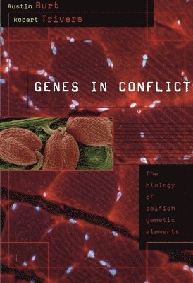 bokomslag Genes in Conflict