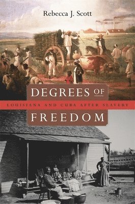 Rebecca J. Scott - Degrees of Freedom, Häftad