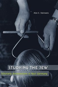 bokomslag Studying the Jew