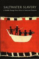 Stephanie E. Smallwood - Saltwater Slavery, Häftad