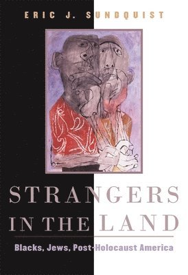 Eric J. Sundquist - Strangers in the Land, Häftad