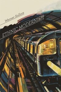 bokomslag Ethnic Modernism