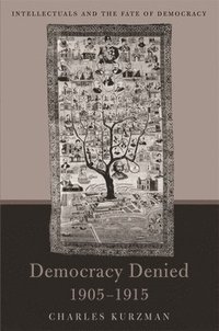 bokomslag Democracy Denied, 1905-1915