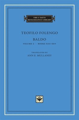 bokomslag Baldo