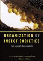 Organization of Insect Societies 1