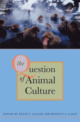 bokomslag The Question of Animal Culture
