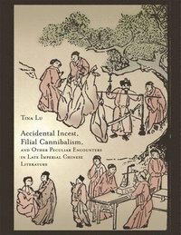 bokomslag Accidental Incest, Filial Cannibalism, and Other Peculiar Encounters in Late Imperial Chinese Literature