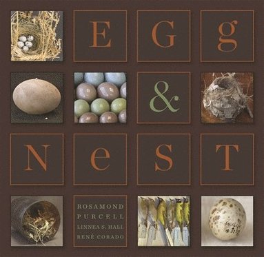 Rosamond Purcell, Linnea S. Hall - Egg & Nest, Inbunden