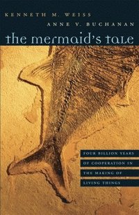bokomslag The Mermaids Tale