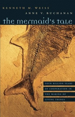 The Mermaids Tale 1