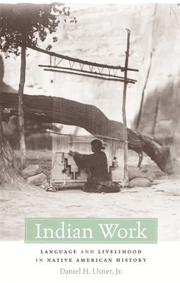 bokomslag Indian Work