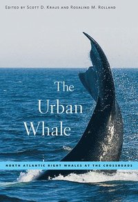 bokomslag The Urban Whale