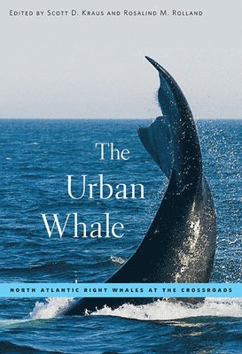 The Urban Whale 1