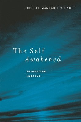 The Self Awakened 1