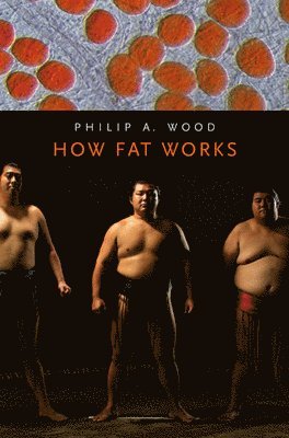 How Fat Works 1