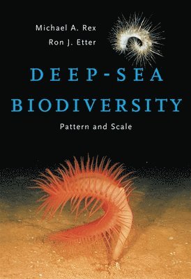 Michael A. Rex, Ron J. Etter - Deep-Sea Biodiversity, Inbunden