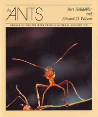 bokomslag The Ants