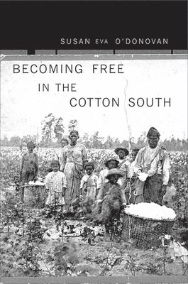 Becoming Free in the Cotton South 1