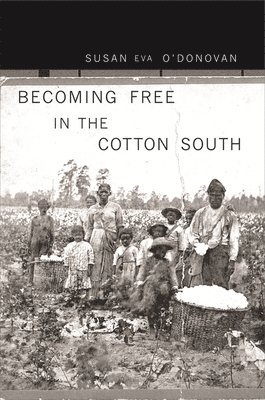 Susan Eva O'Donovan - Becoming Free in the Cotton South, Häftad