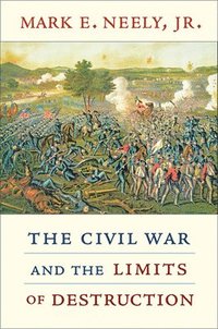 bokomslag The Civil War and the Limits of Destruction