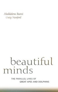 bokomslag Beautiful Minds