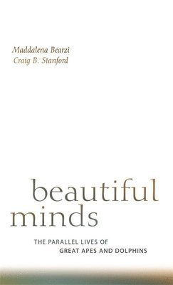 Beautiful Minds