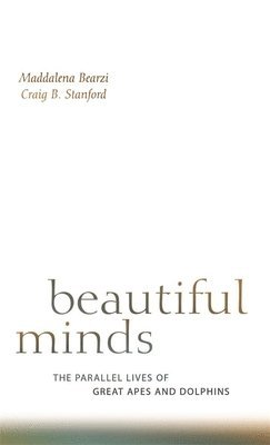 Beautiful Minds 1