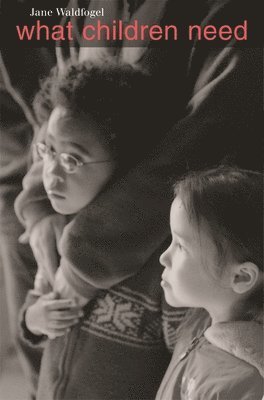 Jane Waldfogel - What Children Need, Häftad