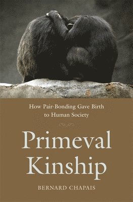 bokomslag Primeval Kinship