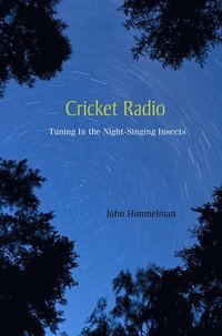 bokomslag Cricket Radio